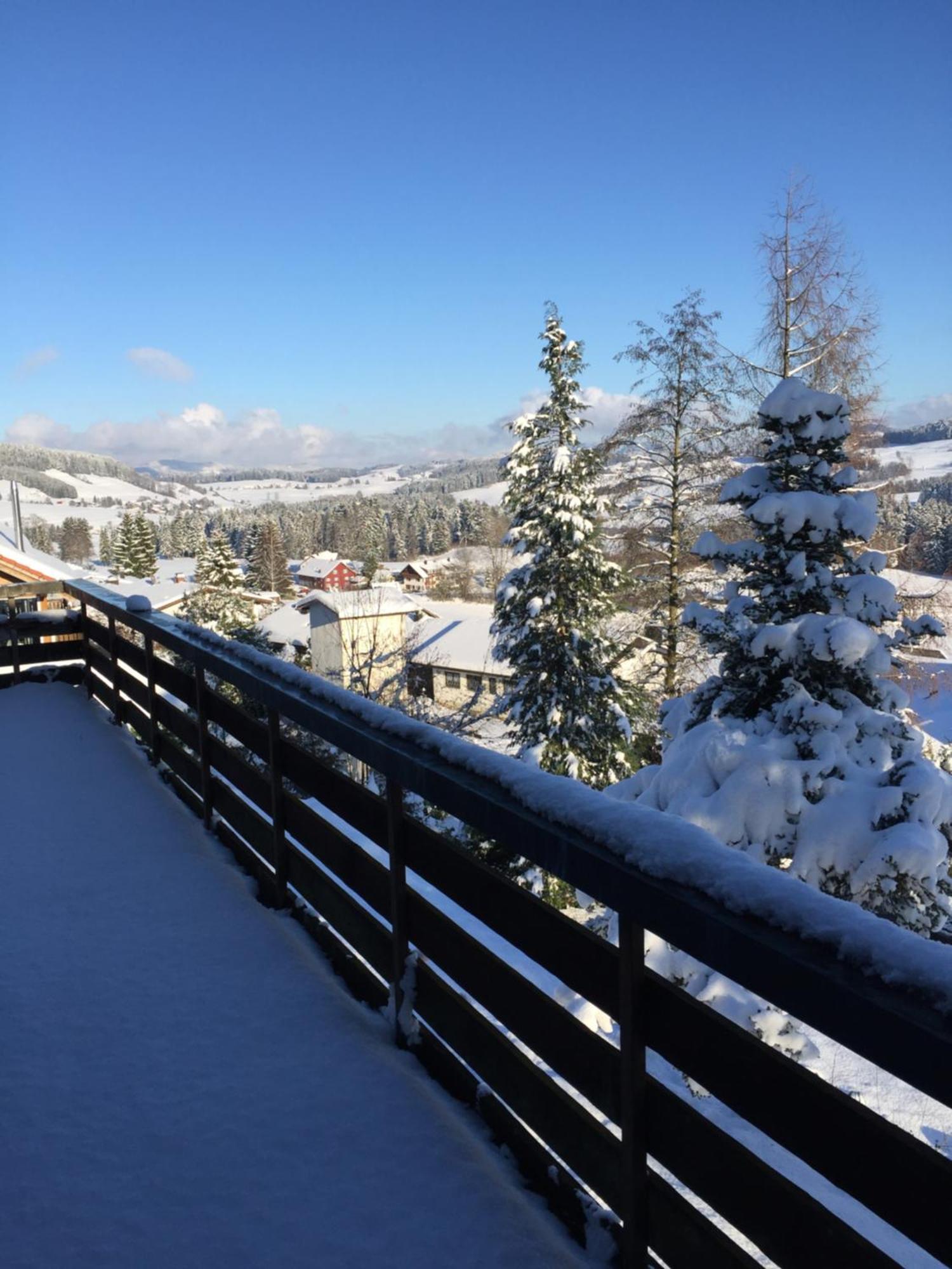Panoramaapart - Alpzeit Im Westallgaeu Oberreute Eksteriør bilde